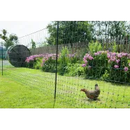 Sähköpaimenen verkko