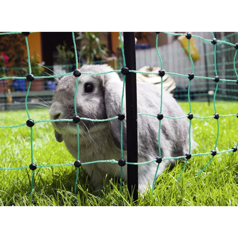 Elektrikarjuse võrk RabbitNet 0,65x50  m küülikutele