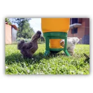 copy of Kodulindude automaatjootja 1/2" 0,5bar