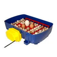 copy of Inkubaator kuni 24 munale