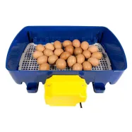 copy of Inkubaator kuni 24 munale